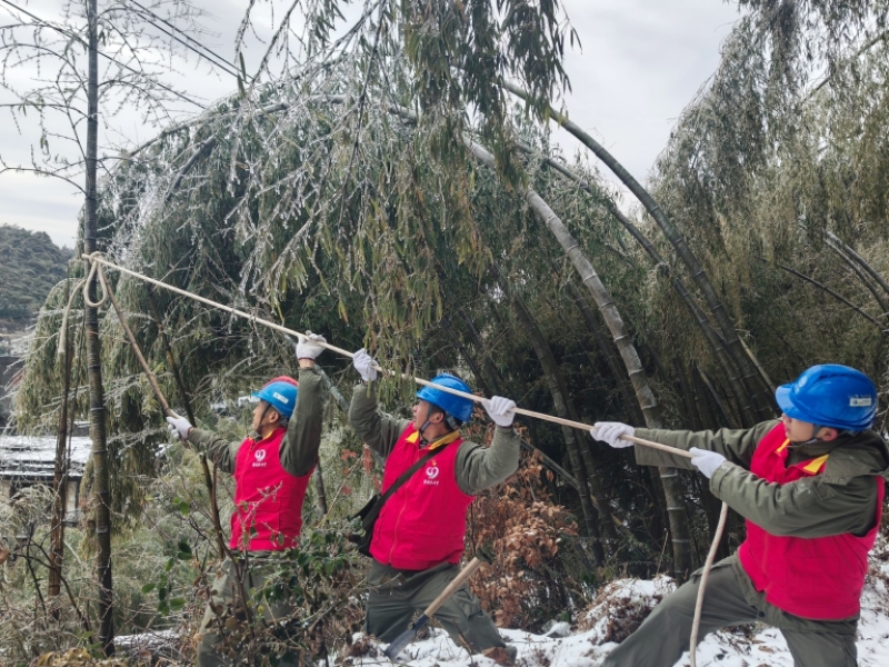 国网湖北电力员工在10千伏金鸡线和板坑线进行巡视，清除竹障。丁小波摄