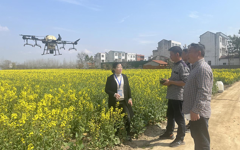 南湖街道纪工委干部走访农户了解退耕还林图斑问题整改及抛荒田地复耕复种情况。