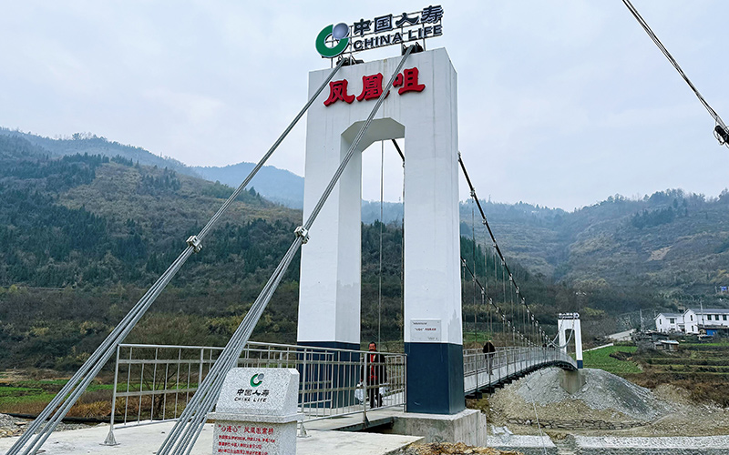中国人寿湖北省分公司在十堰市竹溪县汇湾镇船丰村修建的“心连心”铁索桥。