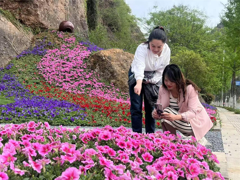 郧西县口袋公园各色花卉竞相绽放。孟莹摄