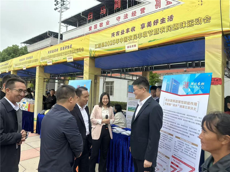 江陵县委副书记、县长李先刚在江陵县丰收节现场参观湖北农担乡村行展台