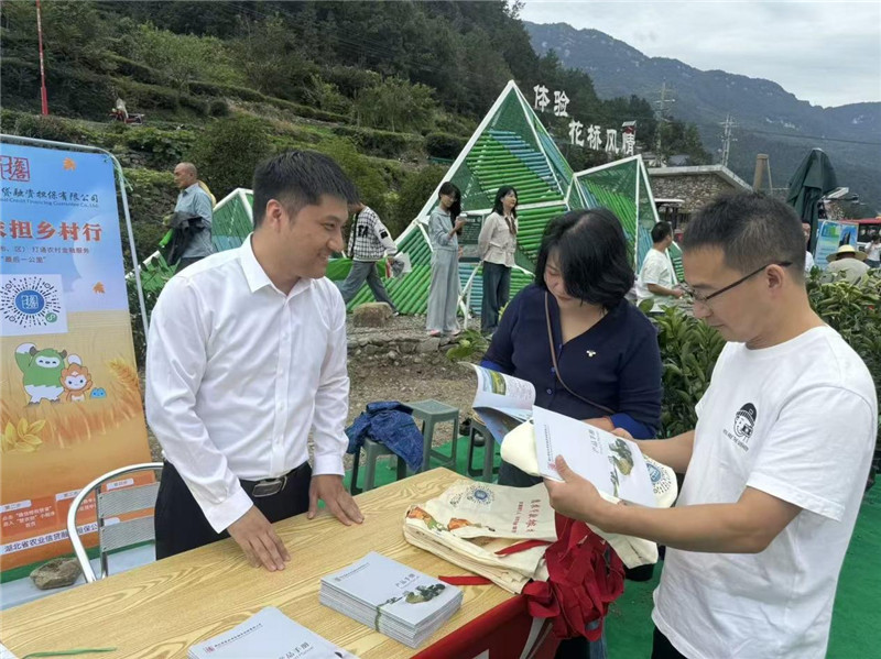 湖北农担在2025年宜昌市农民丰收节主会场——秭归县九畹溪镇石柱土家族村开展乡村行活动