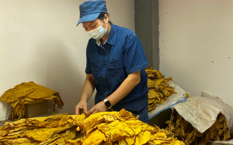 公司开展科普活动。