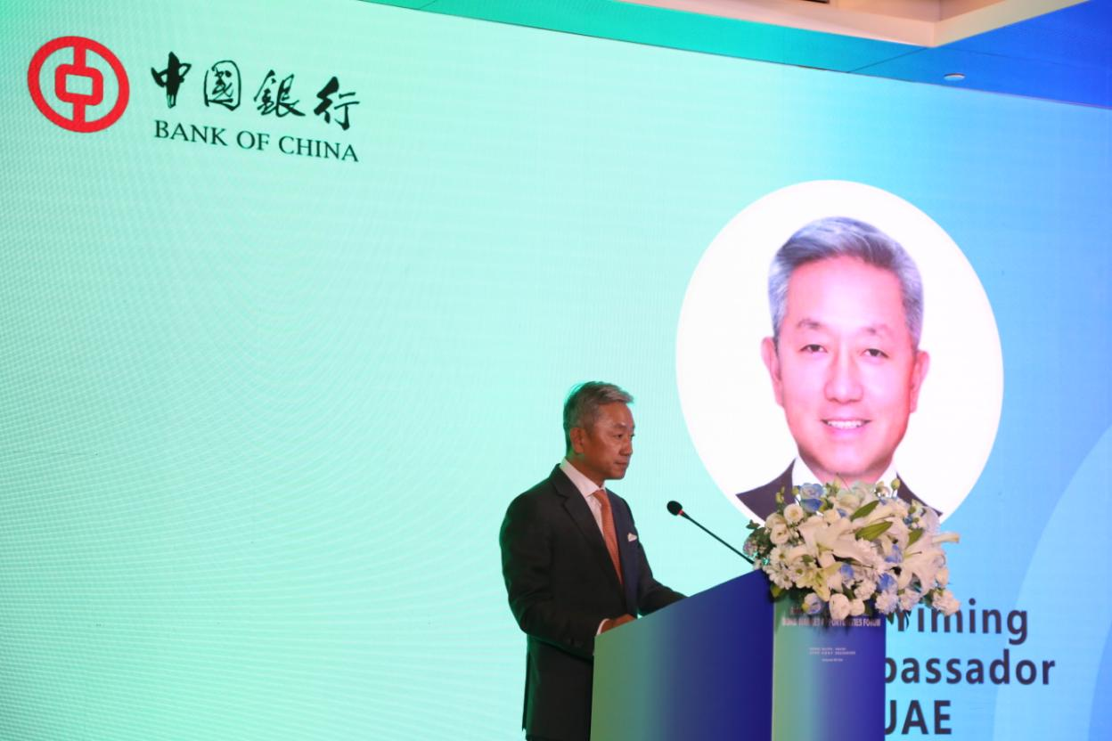 中国驻阿联酋大使张益明致辞,主办方供图