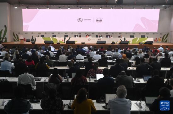 11月21日,代表参加在巴西贝伦举行的《联合国气候变化框架公约》第三十次缔约方大会(COP30)。 新华社发(卢西奥·塔沃拉 摄)
