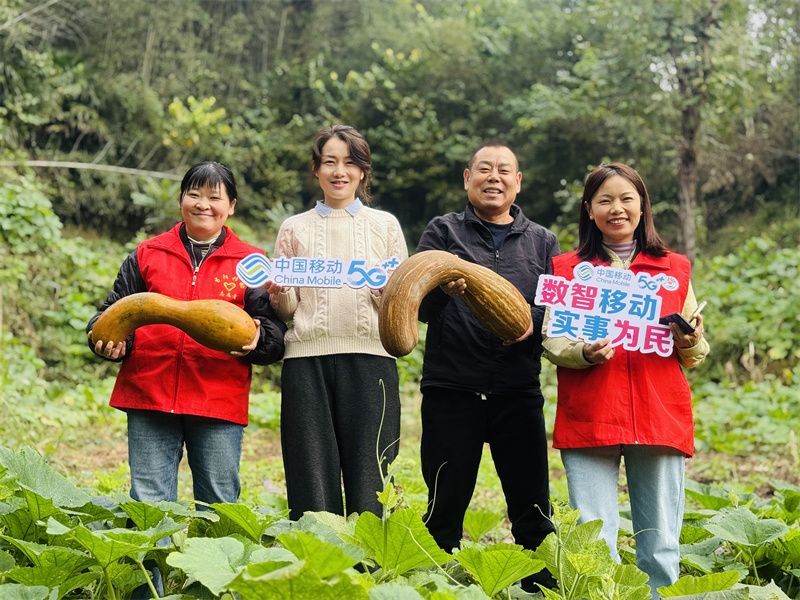 湖北移动志愿者和村民一起在直播间向网友展示新鲜采摘的南瓜