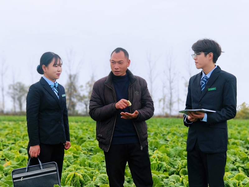 客户经理到田间走访。