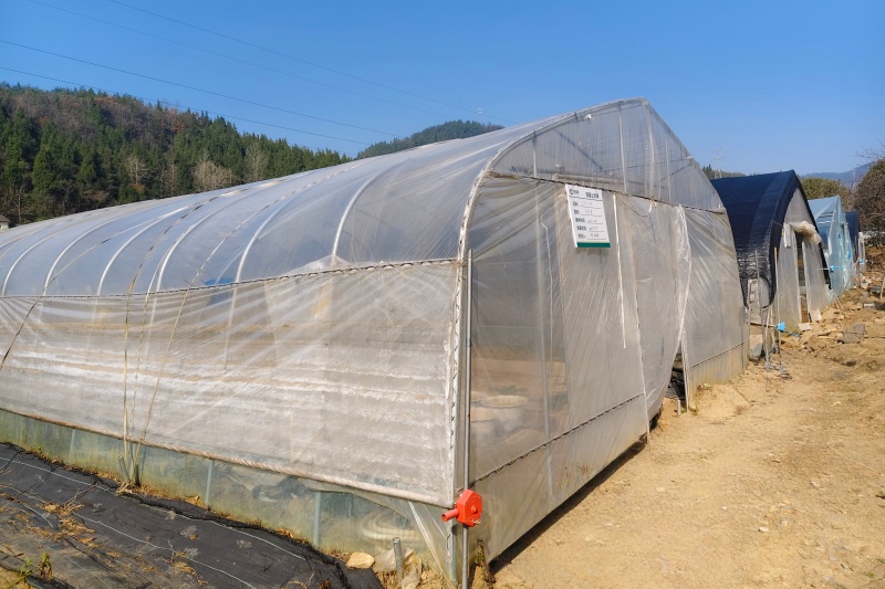 育苗棚外观